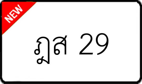 ฎส 29